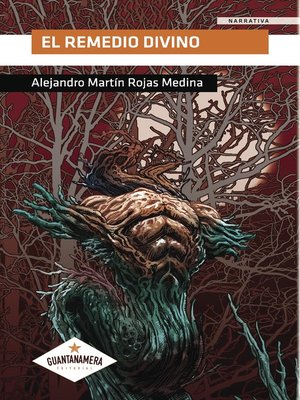 cover image of El remedio divino